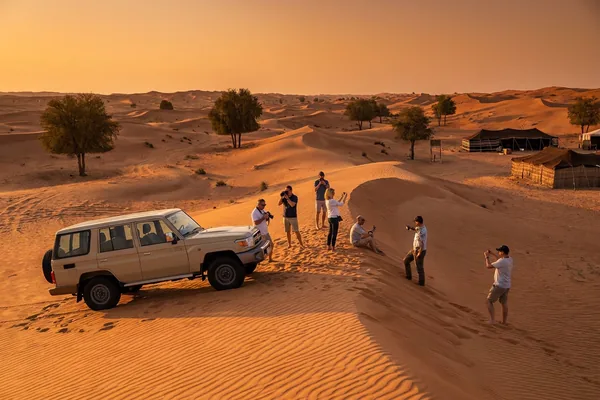 Morning desert reserve under soft golden light