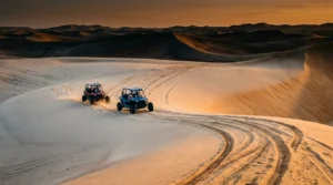 5 Signs of the Hidden Safari Charge