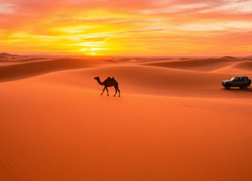 Evening Desert Safari: A Sunset Adventure on a Day Trip from Dubai