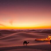 Unique desert safari experiences Dubai