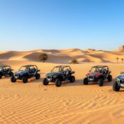 Choosing the Right Dune Buggy Tour Package for You