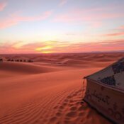 Exploring the Best Desert Safari Tours in Dubai