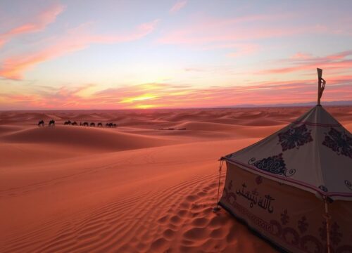 Explore the Best Desert Safari Tours in Dubai