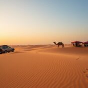 Why Desert Safari Dubai is a Must-Try for Tourists