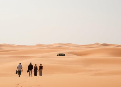 Can you do desert safari without dune bashing?