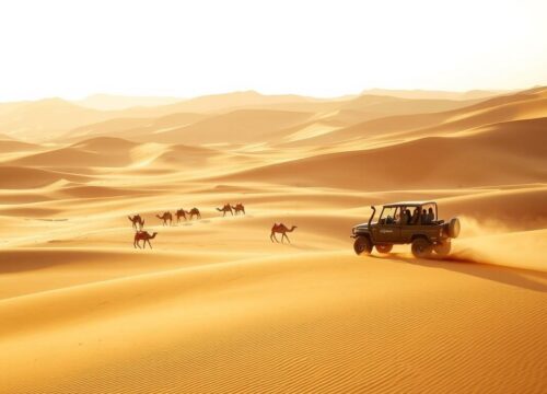 Which day is best for a Dubai desert safari?
