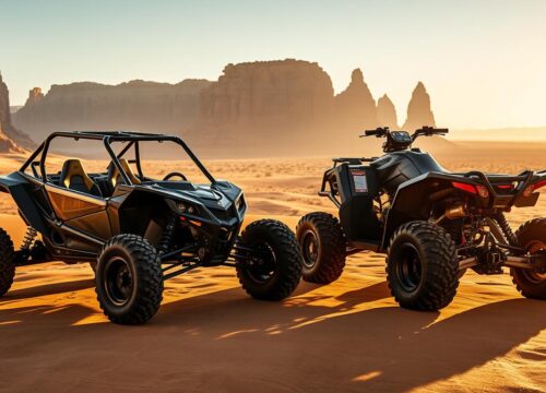 Which is better dune buggy or quad?