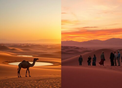 Which is better morning or evening desert safari?