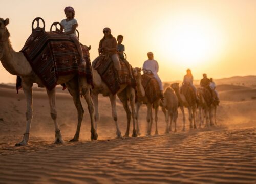 Camel Trekking Dubai Guided Tour Worth Your Time UAE