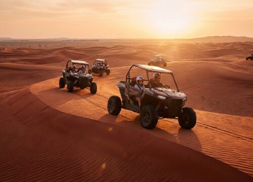 Morning Safari Sharjah VIP Booking with Pickup Included