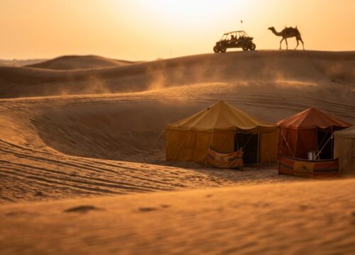 Evening Safari Dubai 7 Secrets Honest Review UAE Tips