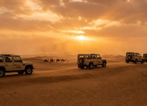 Why 12000 Solo Travelers Paid AED 400 for a Buggy Ride Dubai