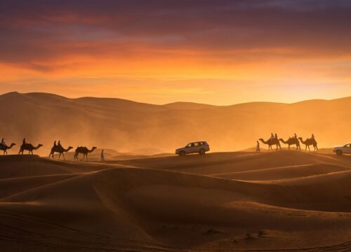 Why 200 Families Trust Quad Bike Dubai for Kids Every Weekend