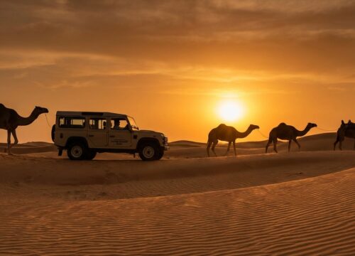 Is Quad Bike Dubai Safe for Kids in 2026 My Honest Review