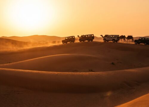 Why Families Often Regret Their Desert Tour Rak Ras Al Khaimah