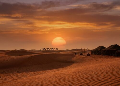 How Buggy Dubai Teams Protect the Desert Ecosystem in 2026