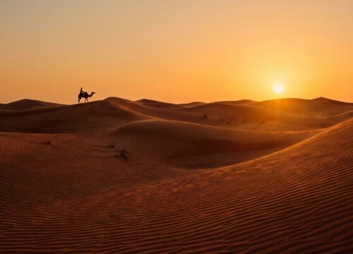Why I Loved My First Winter Dune Buggy Sharjah Dubai Family Trip