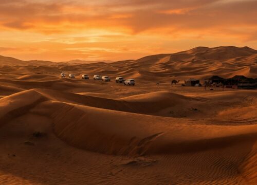 I Reviewed 5 Top Evening Safari Sharjah Spots for Large Families