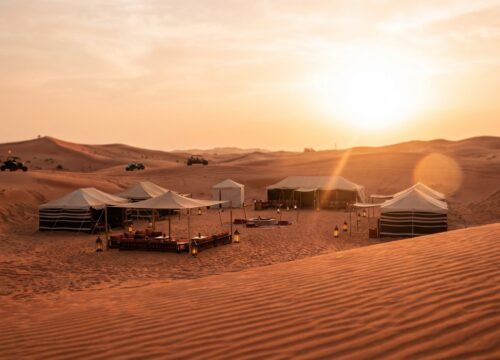 I Paid AED 250 for Evening Safari in Abu Dhabi My Honest Take