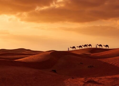 Is Quad Biking Tours Dubai Safe? My Study of 500 Family Reviews