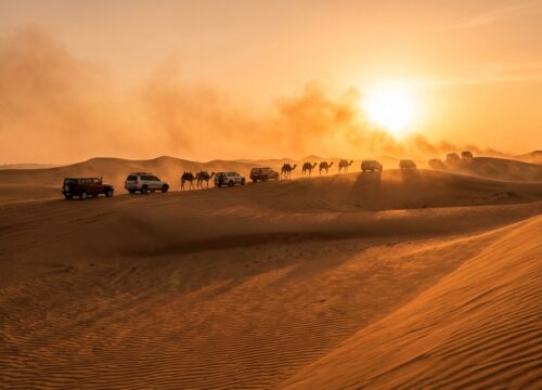 What I Wish I Knew Before My 2026 Desert Safari Abu Dhabi Trip